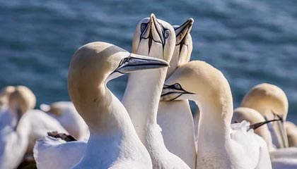 2025“玫瑰绽放”训练营U12年龄组（第一阶段武汉站）圆满收官