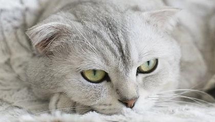 【比赛日Vlog】中超第9轮 云南玉昆2比3上海海港精彩瞬间