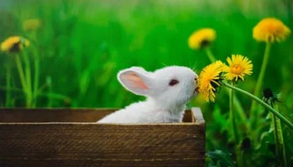 2025“玫瑰绽放”训练营U12年龄组（第一阶段武汉站）圆满收官